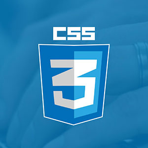 CSS